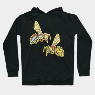 Honey Bee Anatomy Illustration Hoodie